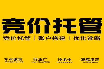 竞价推广中的移动端优化策略：基于移动用户的成功案例